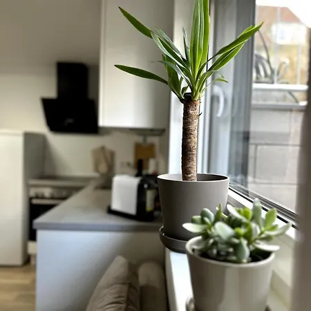 Appartement Bookieb By Schmitt Mainz